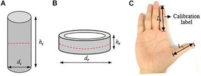 Investigation on the Cooperative Grasping Capabilities of Human Thumb and Index Finger